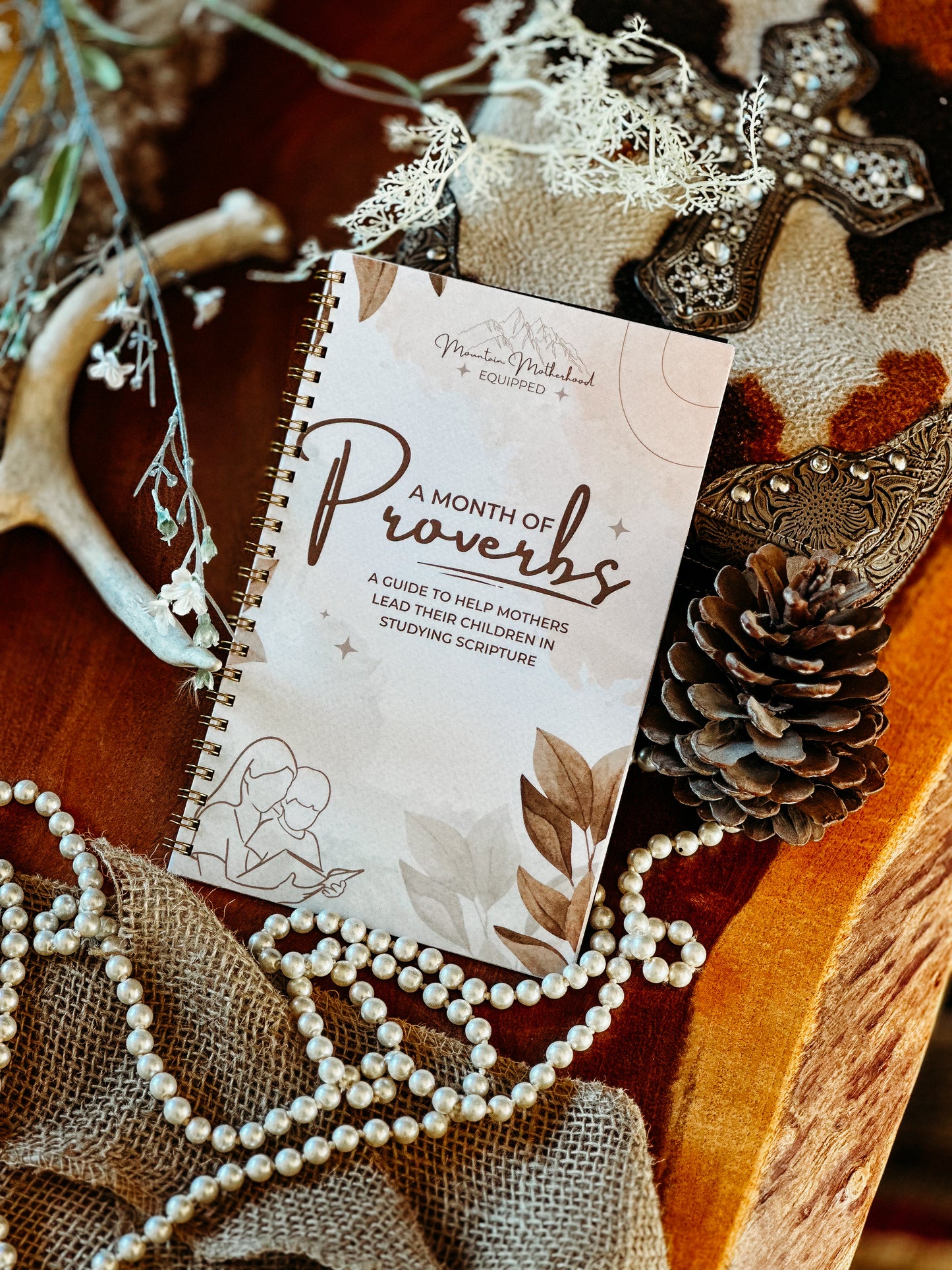 A Month Of Proverbs | Bible Study Guide