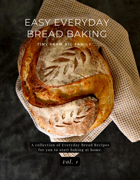 Easy Everyday Bread Baking Vol 1