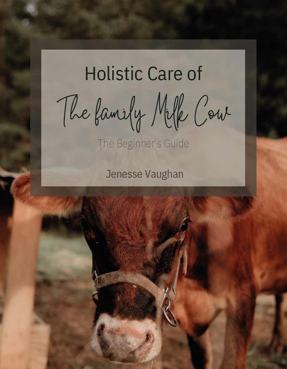 The Family Milk Cow