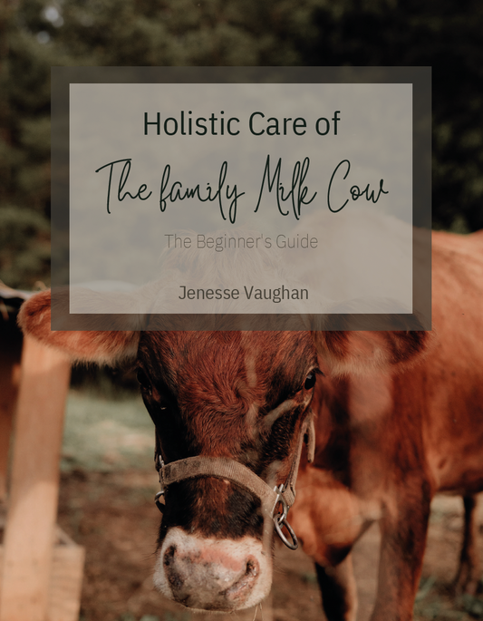 The Family Milk Cow
