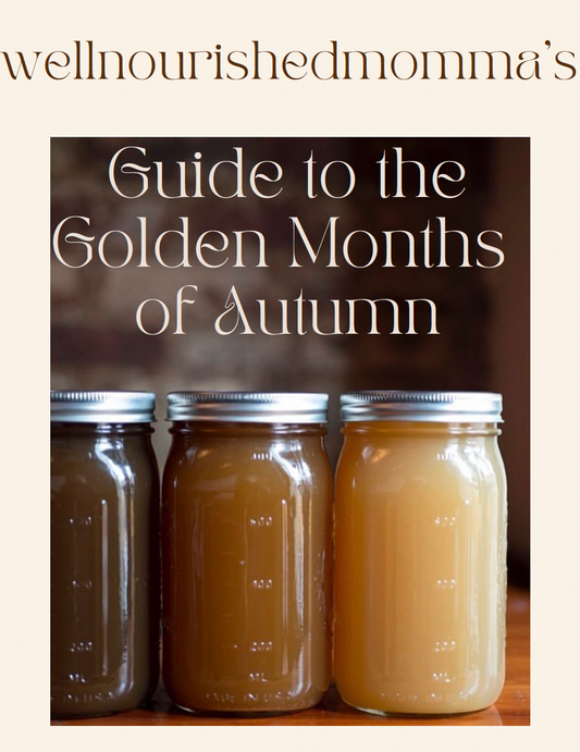 Guide to Autumn Nourishment