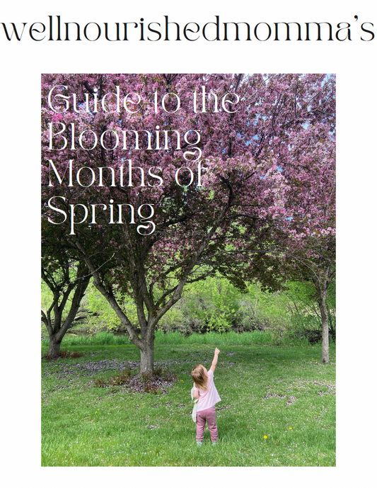 Guide to Spring Nourishment
