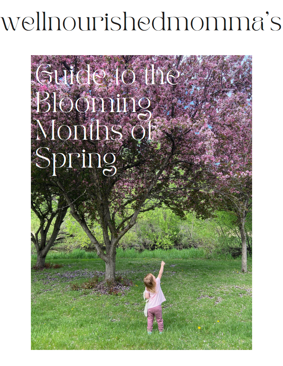 Guide to Spring Nourishment