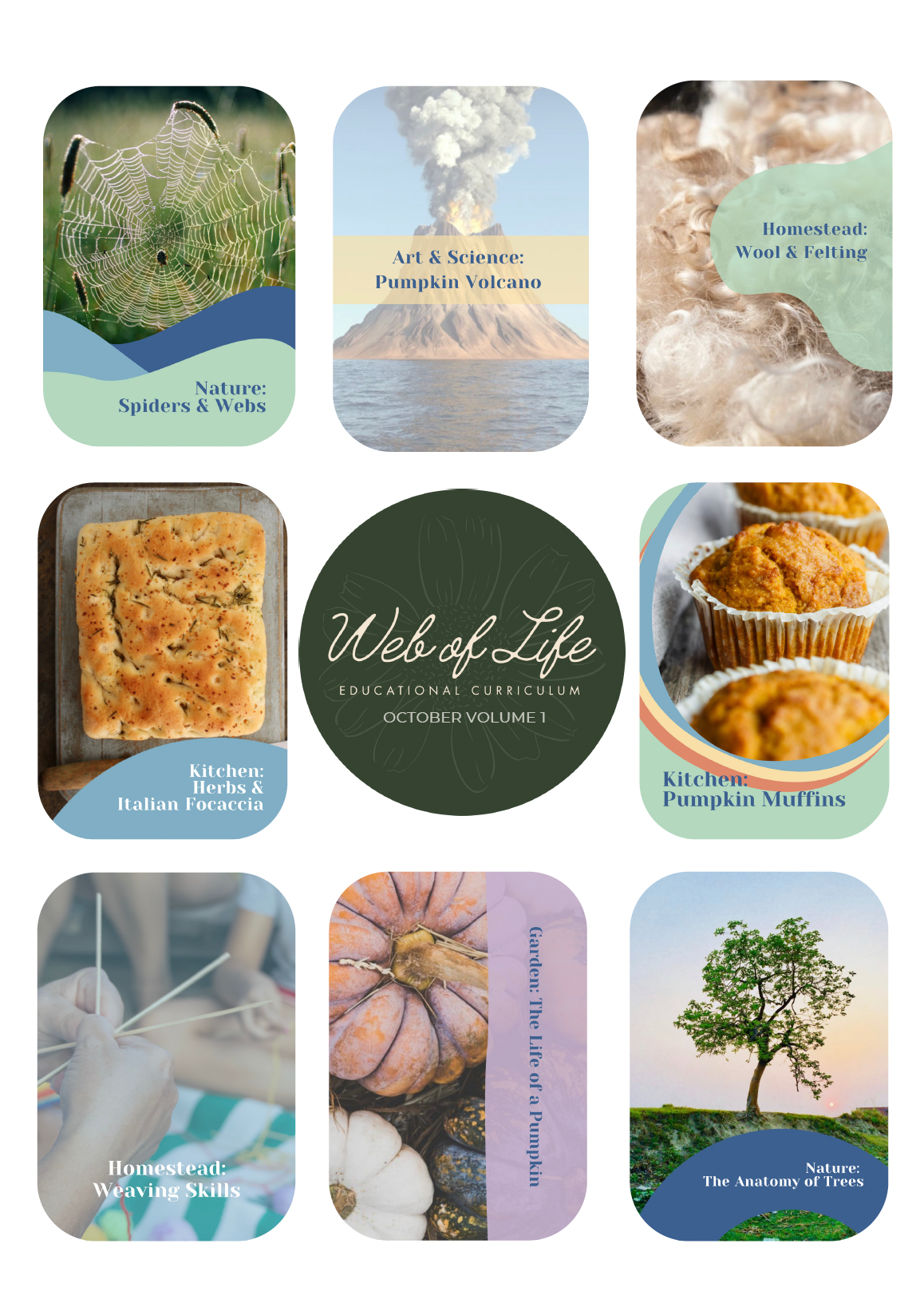 Web of Life Educational Curriculum October Vol 1