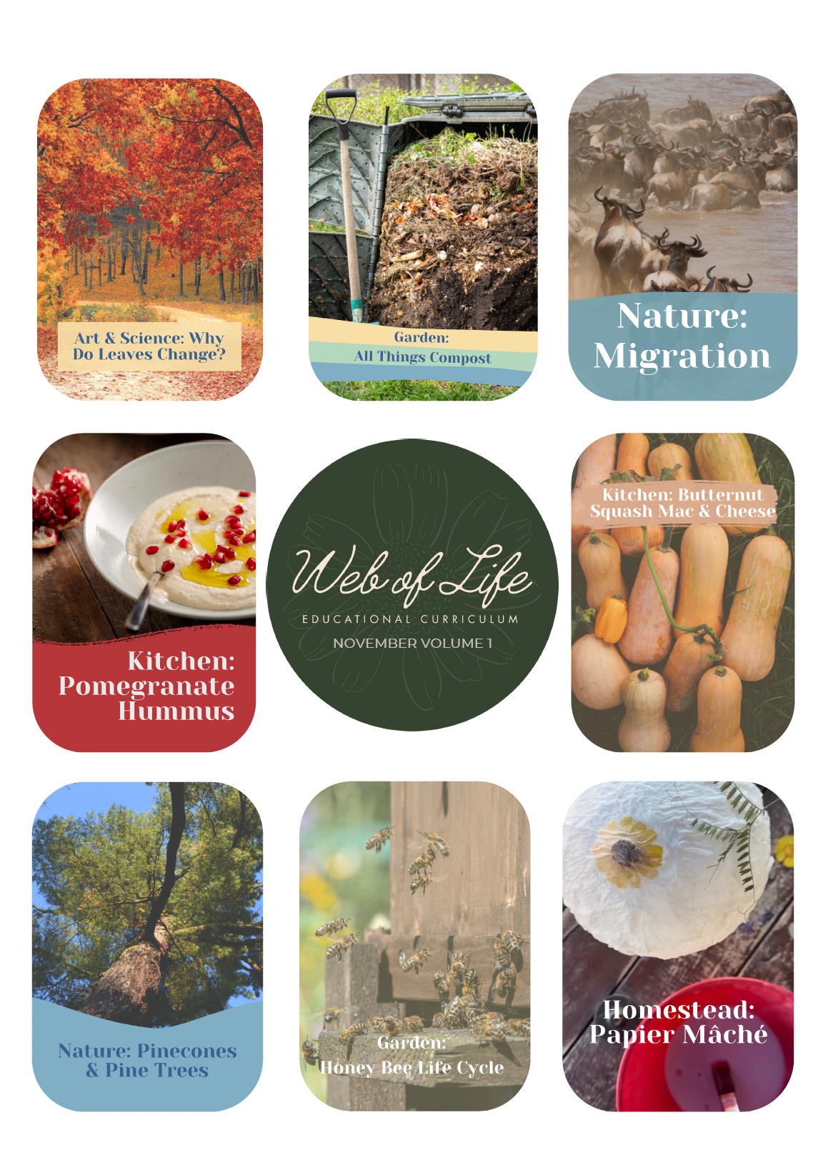 Web of Life Educational Curriculum November Vol 1