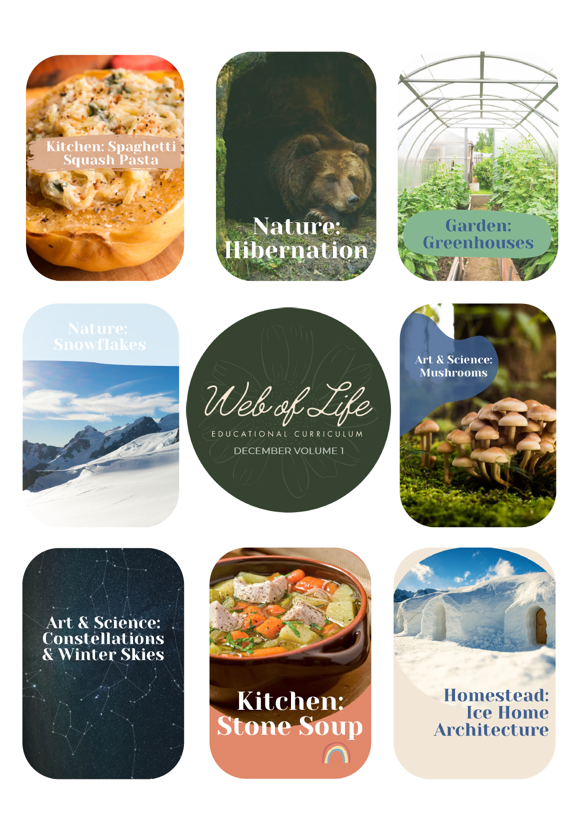 Web of Life Educational Curriculum December Vol 1