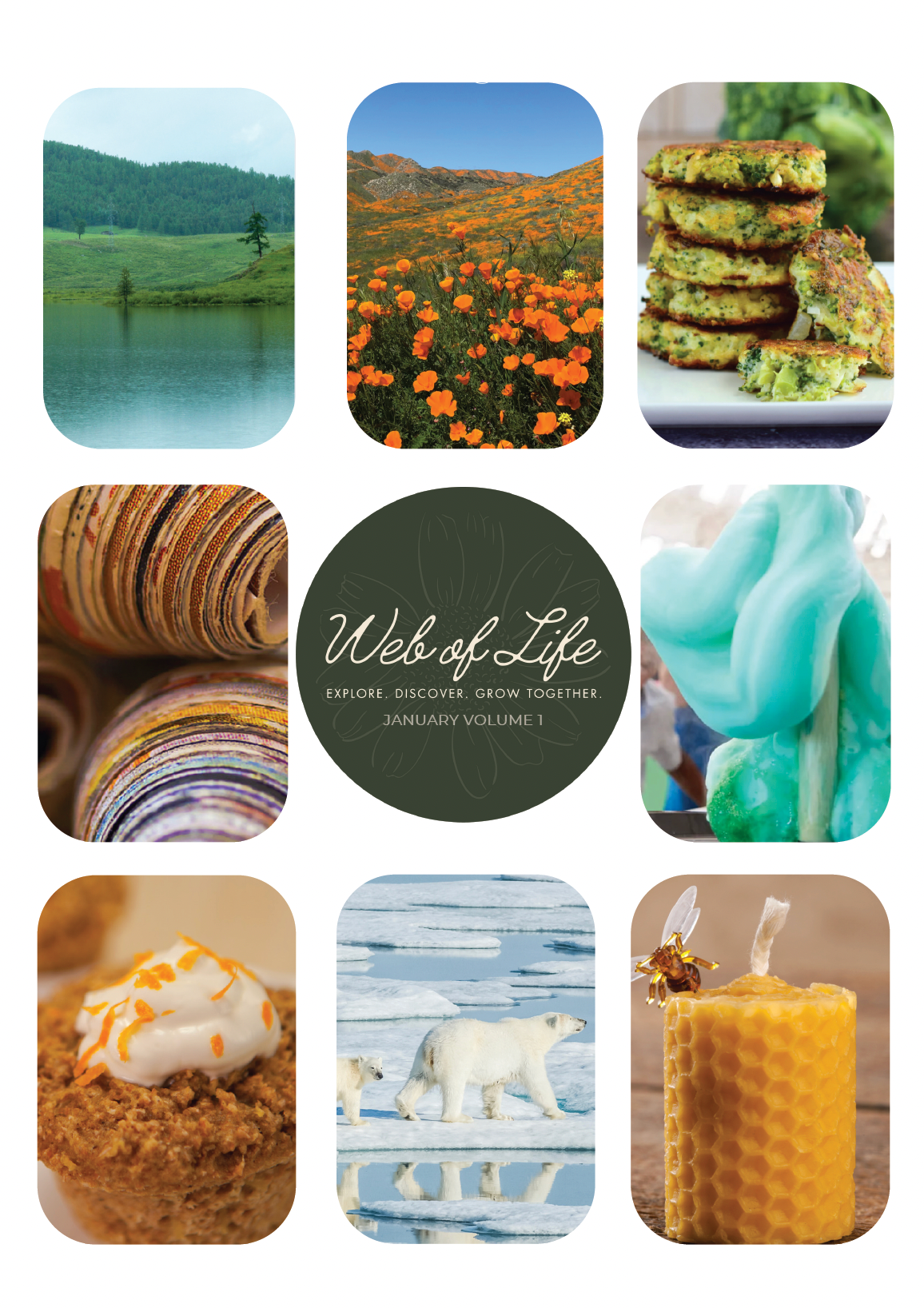 Web of Life Educational Curriculum January Vol 1