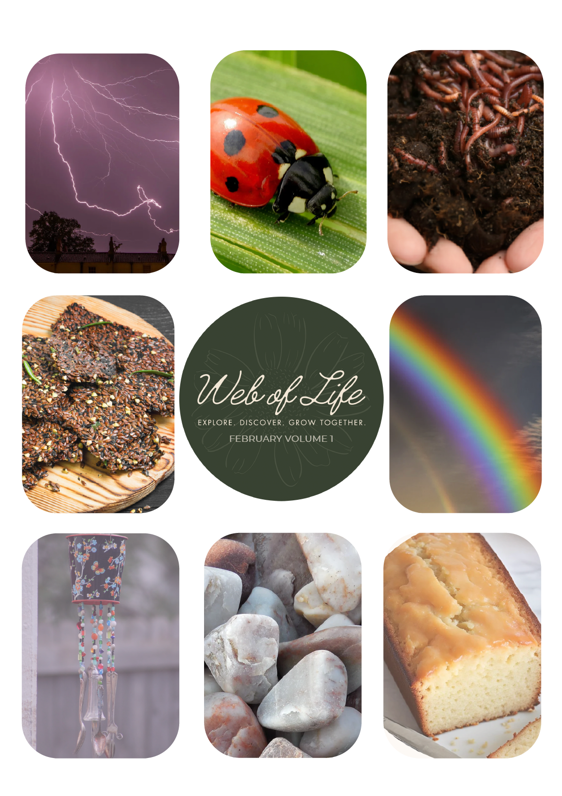 Web of Life Educational Curriculum February Vol 1