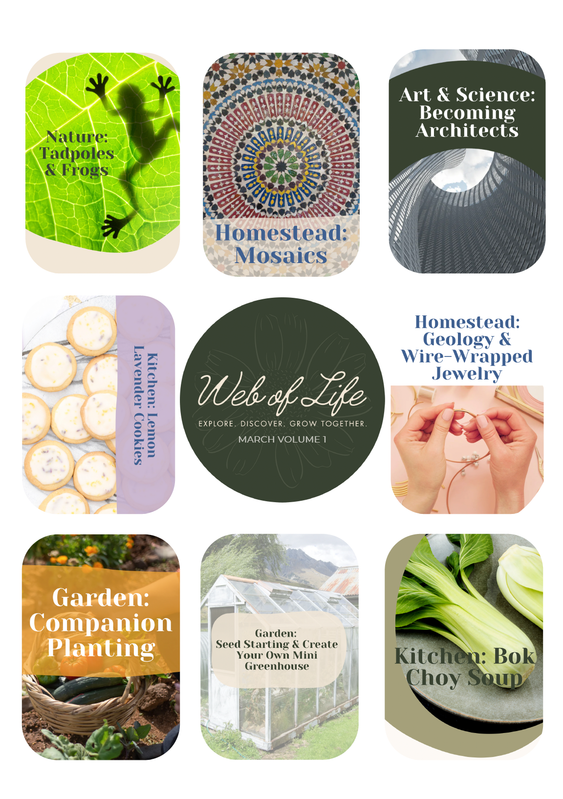 Web of Life Educational Curriculum March Vol 1