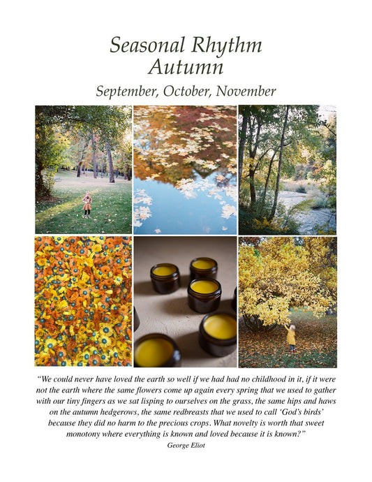 Autumn ::: Family Guide To Medicine Making Through The Seasons