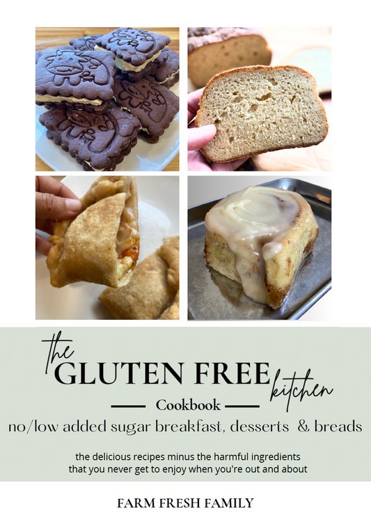 The Gluten Free Kitchen Cookbook (1st Edition)