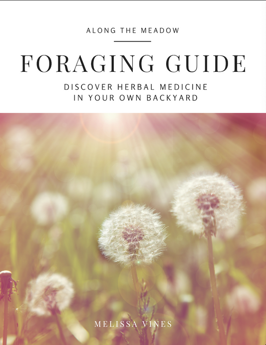 Seasonal Foraging Guide