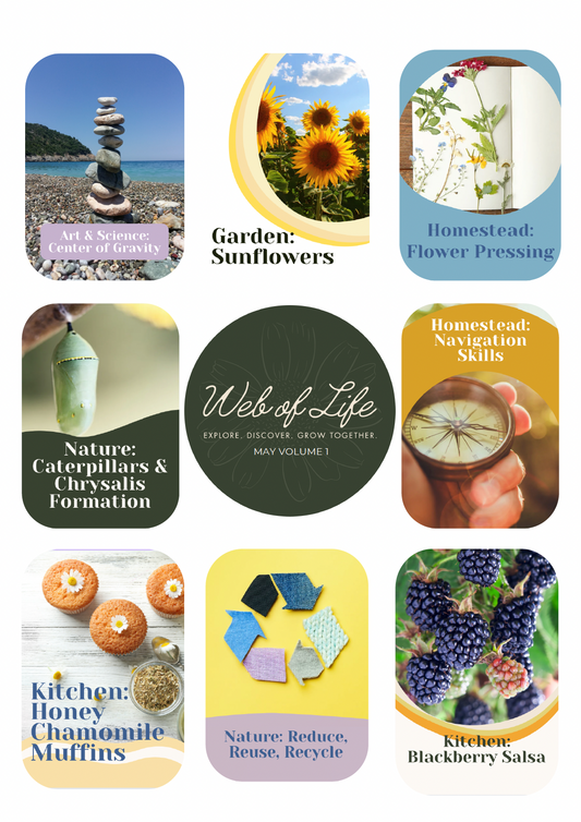 Web of Life Educational Curriculum May Vol 1
