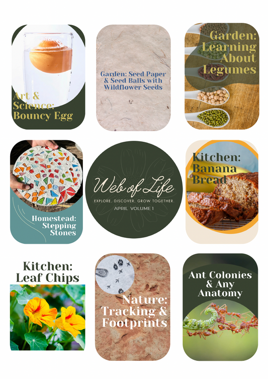 Web of Life Educational Curriculum April Vol 1