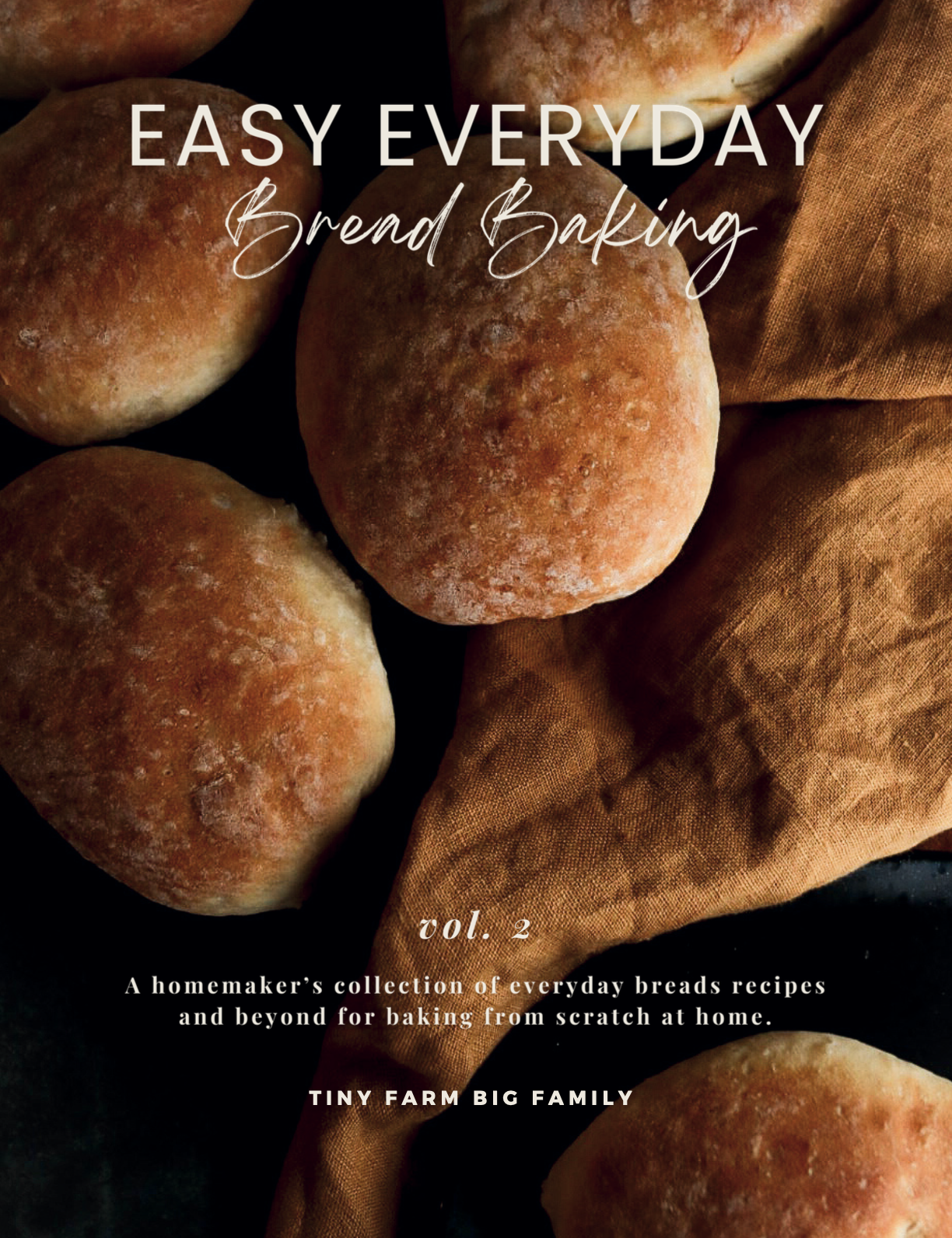 Easy Everyday Bread Baking Vol 2